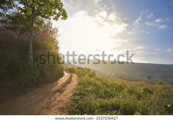 Ein Feldweg führt durch eine Wiese in die aufgehende Sonne